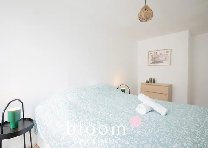 Le Chaleureux Leclerc 2 4p Appartement